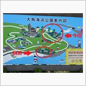 2022　13回目　大角海浜 ...