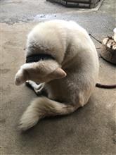 おはようございます。晴れますように！