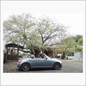 川島町・桶川市ドライブ