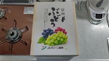 クイーンルージュ           #JAグリーン長野 #ぶどう #新種 #クイーンルージュ