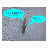 ・・・ゲスの極みだな！　(￣ ...