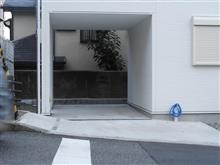猫欲の秋ーーーっ