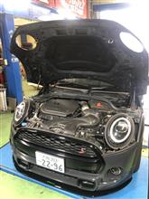 AMSECHS フロントリップ 装着！