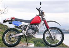 完成したバイクの一つの形