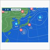 雀対策を考える。