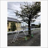 DIY剪定