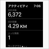 今日は控えめに
