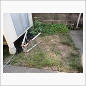 ☆　庭の雑草退治