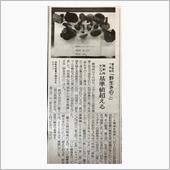 富士山麓のきのこ　