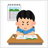 夏休みの自由研究シバタイヤ編