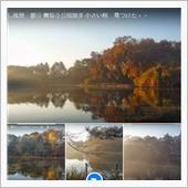 秋の癒し風景　〖都立 善福寺 ...