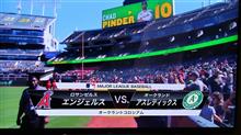 勝ち負けなど どうでもいい・・・