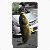 東京インテリア☆