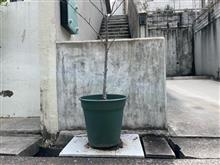 起死回生