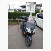 秋の味覚2022
