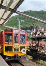 嵯峨野トロッコ列車に乗りました！