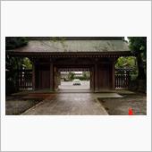 僕の夏休み第2弾～東三河編～