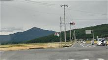 お散歩はここよ🚶 お散歩はここよ🚶