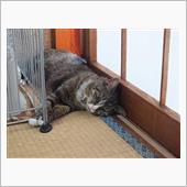 ホイールの掃除と、、、、