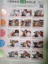 犬の取り扱い説明書　役立っています