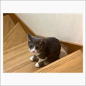 押すのはいいんだけど引くのは ...