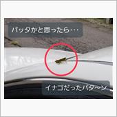 221010-3　スナイパー ...