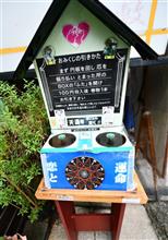 お茶⑦。