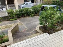 出撃致します(・∀・)ノ