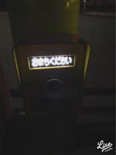 たまには夜散歩