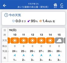 だから、晴れるって言ったじゃない！