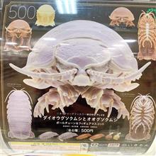 ダイオウグソクムシとオオグソクムシガチャ