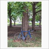 自転車散歩（SLX NEW  ...