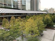 紅葉の入口…?😅