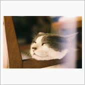 A30+Rollei35のブ ...