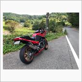 行楽シーズンだから仕方ないで ...