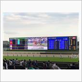 週末の競馬を振り返る（202 ...