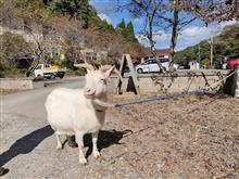 学校食堂