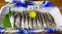 鰆お造り（炙り）