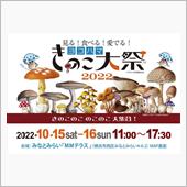 ヨコハマきのこ大祭2022