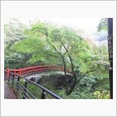 ぶらっと伊香保温泉