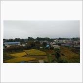 一雨一度
