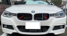 BMW330e Ｆグリル内サポートパイプカラーリング
