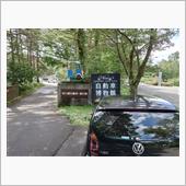 愛車ランキング