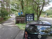 愛車ランキング