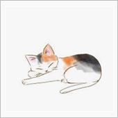お店番をしてる 黒猫ちゃん� ...