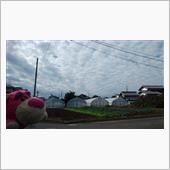 クマさんはお外でお仕事中･･ ...