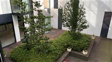 想定外の緊急帰省 再び