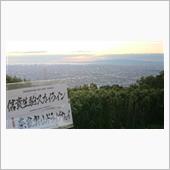 今日の収穫