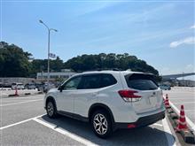 四国一周の旅２日目：桂浜