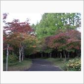 紅葉の名所２